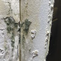 залив по вине соседей Открытое шоссе, дом 2