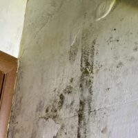 залив по вине соседей Открытое шоссе, дом 2