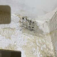 залив по вине ООО «Специализированный застройщик «Хорошевский»