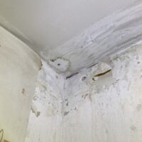 залив по вине ООО «Специализированный застройщик «Азимут»