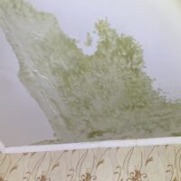 залив по вине соседей