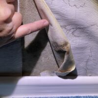 залив по вине соседей Проспект Мира, дом 131