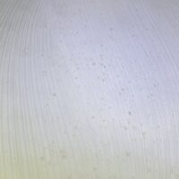 залив по вине соседей Проспект Мира, дом 131