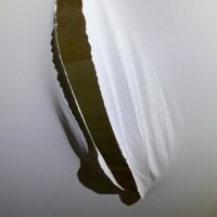 залив по вине Управляющей компании «Паритет»