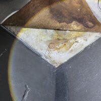 залив по вине ГБУ «Жилищник района Сокольники»